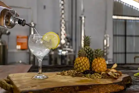 The Guys Commercial Photography - Mazuri Pineapples