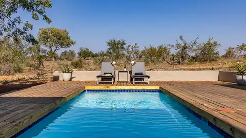 Nare Bush Lodge - Mjejane Game Reserve